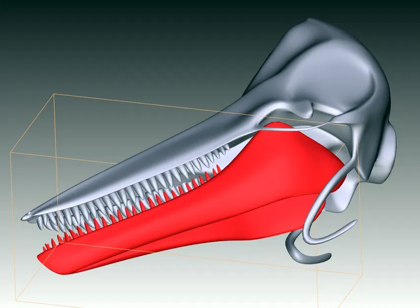 Hộp Sọ Cá Heo 3D Sẵn Sàng In 3D (3D Print Ready Dolphin Skull 3D Printing) - Image 1