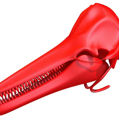 Hộp Sọ Cá Heo 3D Sẵn Sàng In 3D (3D Print Ready Dolphin Skull 3D Printing)