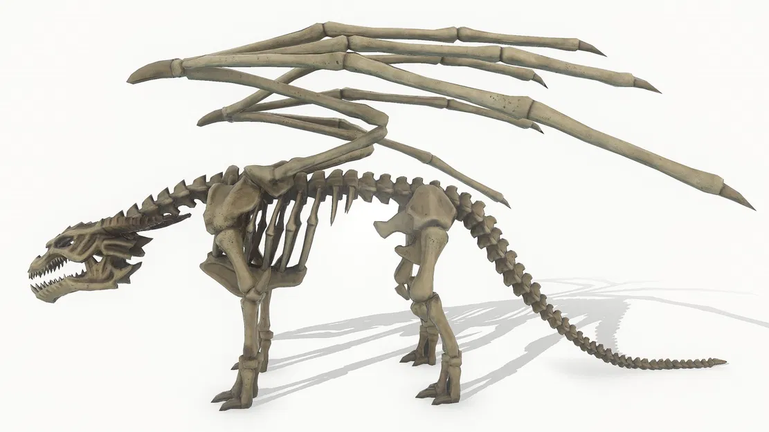 Bộ xương rồng (Dragon Skeleton) chi tiết cao, texture 4K - Image 4