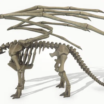Bộ xương rồng (Dragon Skeleton) chi tiết cao, texture 4K