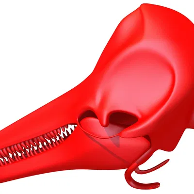 Hộp Sọ Cá Heo 3D Sẵn Sàng In 3D (3D Print Ready Dolphin Skull 3D Printing)