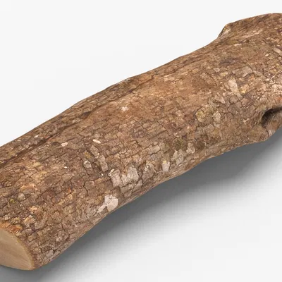 Firewood 07_RNCuj – Mẫu củi (Game Ready Unreal 4)