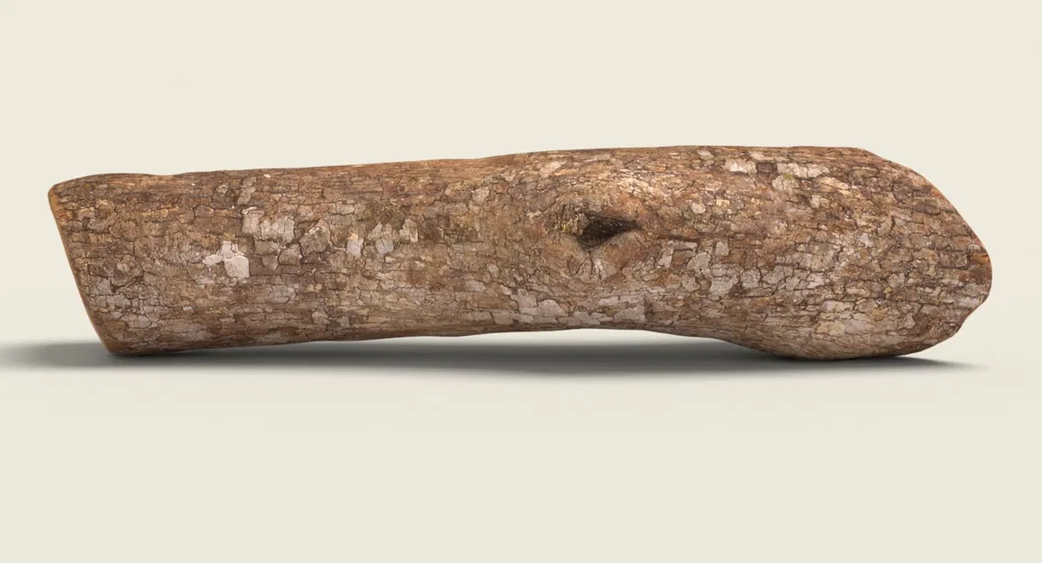 Firewood 07_RNCuj – Mẫu củi (Game Ready Unreal 4) - Image 2