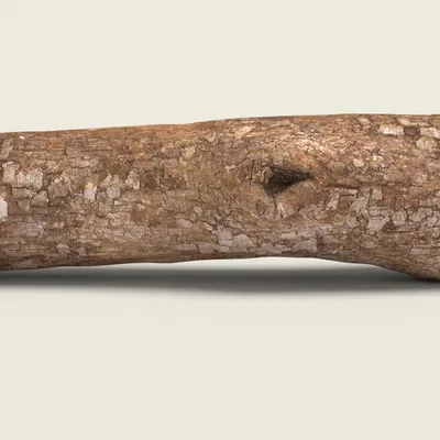 Firewood 07_RNCuj – Mẫu củi (Game Ready Unreal 4)