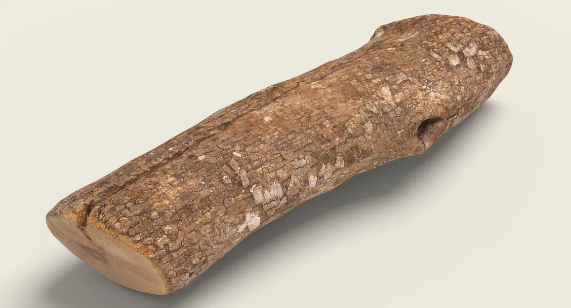 Firewood 07_RNCuj – Mẫu củi (Game Ready Unreal 4) - Image 3