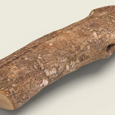 Firewood 07_RNCuj – Mẫu củi (Game Ready Unreal 4)