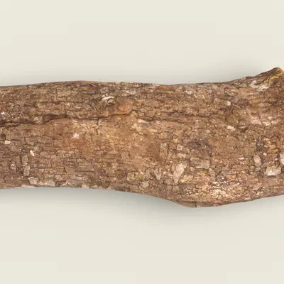 Firewood 07_RNCuj – Mẫu củi (Game Ready Unreal 4)