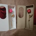 Hộp Hoa Hồng Valentine (Valentine Rose Box) - Thumbnail 4