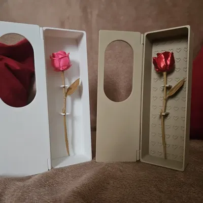 Hộp Hoa Hồng Valentine (Valentine Rose Box)