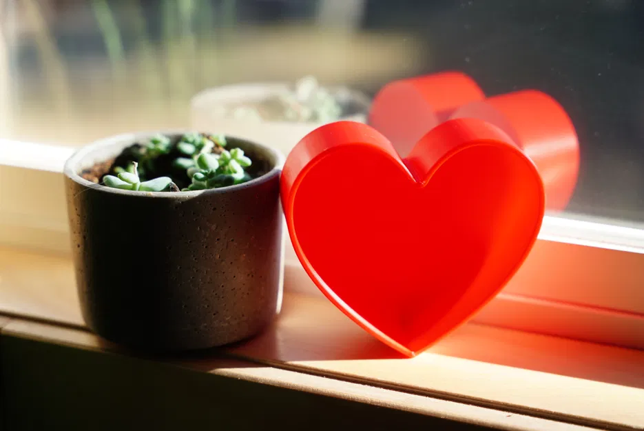 Hộp hình trái tim có nắp đậy - Image 3