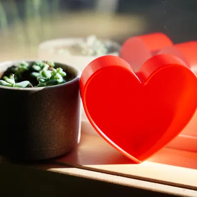 Hộp hình trái tim có nắp đậy