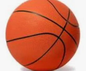 Vành Bóng Rổ Mini (Mini Basketball Hoop) - Image 1