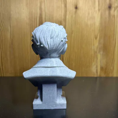 Erwin Rudolf Josef Alexander Schrödinger – Bust