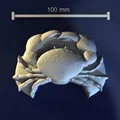 Crab_aXZDraX – Mẫu 3D con cua cho khuôn soap/chocolate/candle - Thumbnail 1