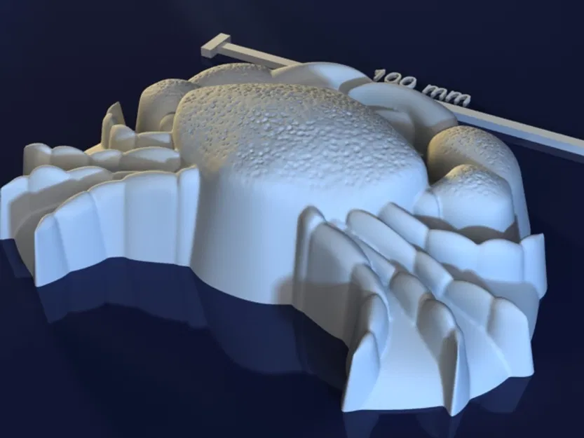 Crab_aXZDraX – Mẫu 3D con cua cho khuôn soap/chocolate/candle - Image 2