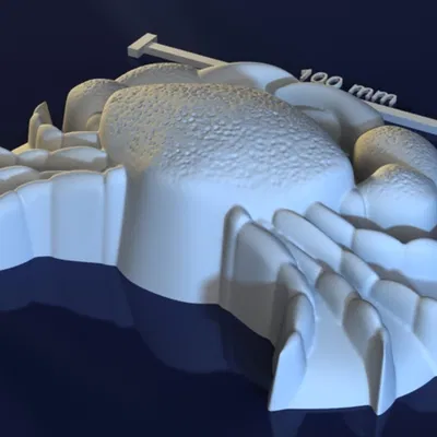 Crab_aXZDraX – Mẫu 3D con cua cho khuôn soap/chocolate/candle