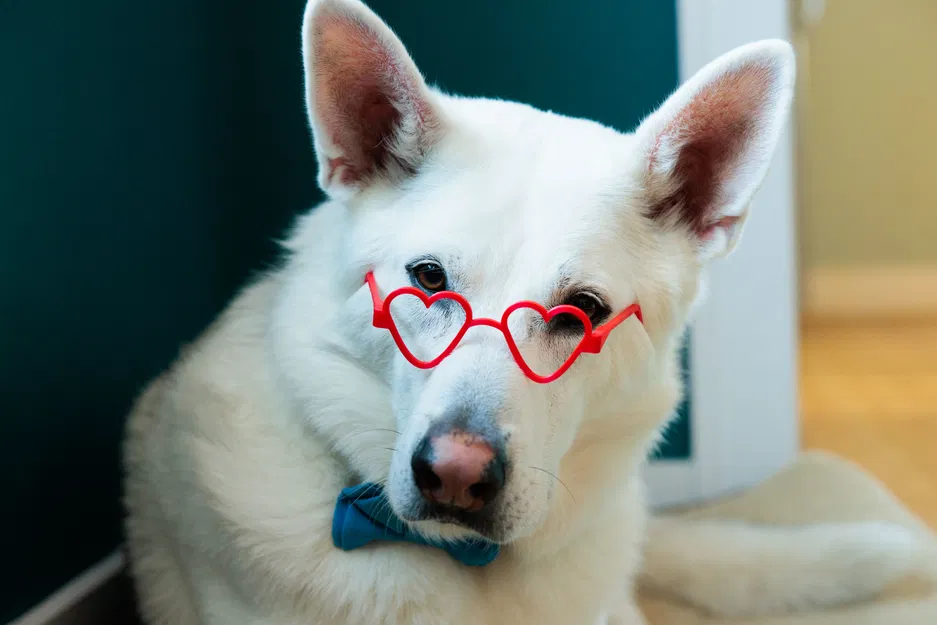 Kính Trái Tim (Heart Glasses) - Image 3