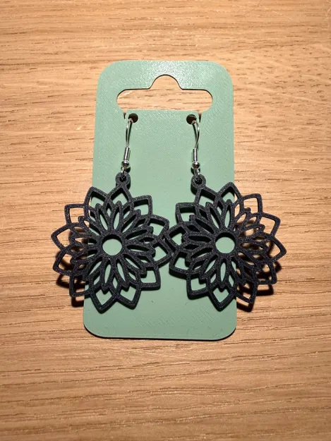 Bông tai (Earring) - Image 1