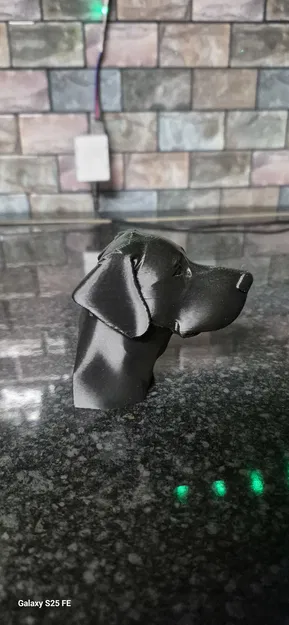 Lab head (đầu Labrador) - Image 2