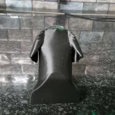 Lab head (đầu Labrador)