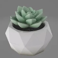 Chậu Sen Đá Geometric Facet