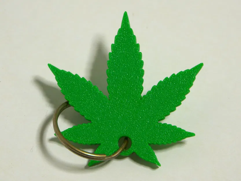 Móc khóa chiếc lá thực vật (50mm) | Không cần support - Image 1