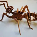 Mô hình Kiến 3D (In nhanh, không cần support) - Thumbnail 4