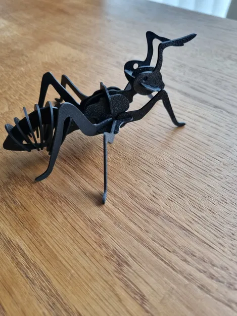Mô hình Kiến 3D (In nhanh, không cần support) - Image 5