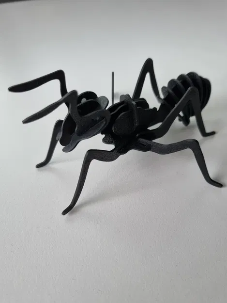 Mô hình Kiến 3D (In nhanh, không cần support) - Image 6