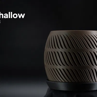 Shallow - Chậu cây