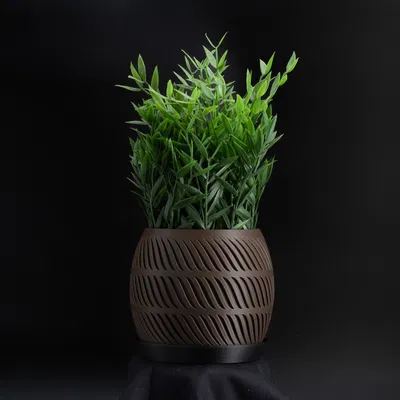 Shallow - Chậu cây