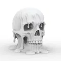 Mô hình 3D in được: Melting Skull (Hộp sọ tan chảy) - Thumbnail 1