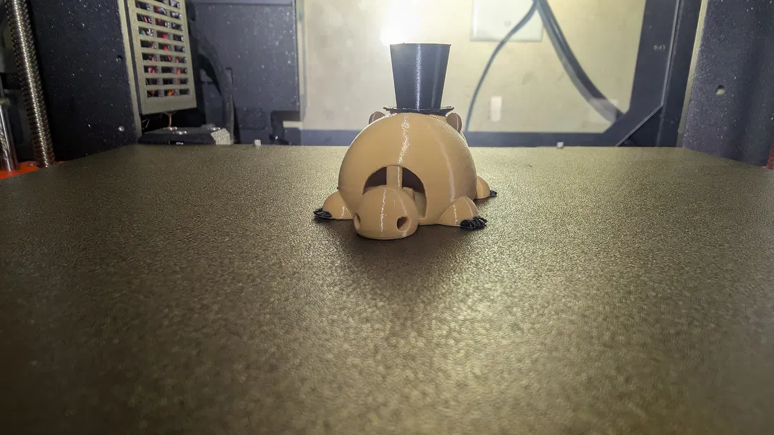 Punxsutawney Phil, Groundhog Fidget (Flexy) – Phil chuột đất fidget dẻo - Image 8