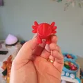 Đồ chơi Axolotl (Axolotl Toy) - Thumbnail 7