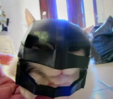 Mặt nạ Cat Batman - Image 1