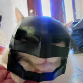 Mặt nạ Cat Batman