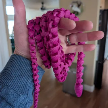 Rắn khớp nối (Articulated Snake) - Image 1
