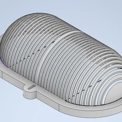 Kryt na svetlo (Nắp che đèn)