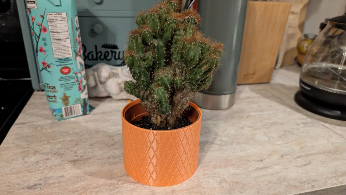 Chậu hoa văn knurled texture hiện đại cho xương rồng & sen đá (10cm) - Image 1