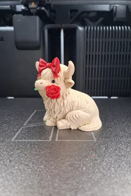 Bò Highland Valentine - Image 2