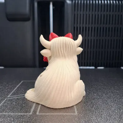 Bò Highland Valentine