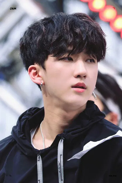 Litophona Changbin Stray Kids - Image 1