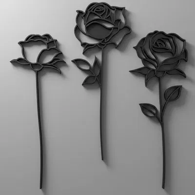 Eternal Bloom: ROSE – Bông hồng nở mãi (3D line art)
