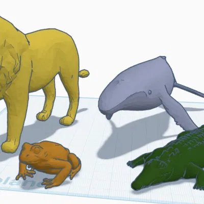 Động vật – Phần 1