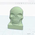 Desk Skull - Đầu lâu để bàn - Thumbnail 3