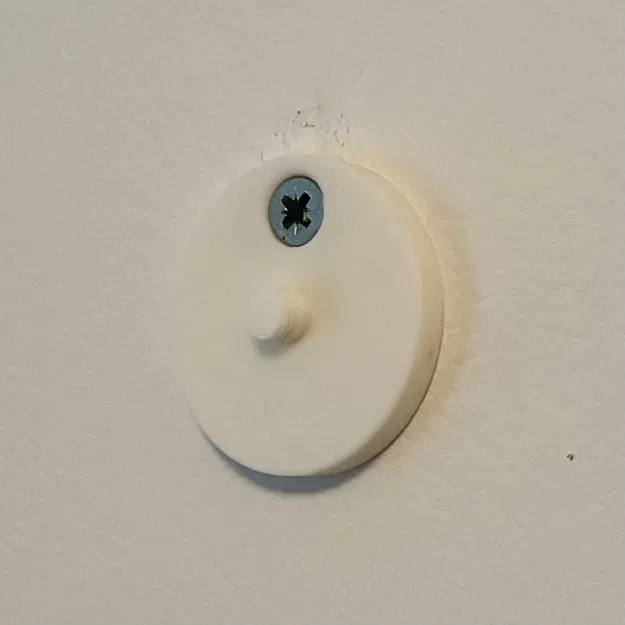 Móc treo đĩa Vinyl phong cách (dán keo hoặc bắt vít | chỉ 7g filament) - Image 2