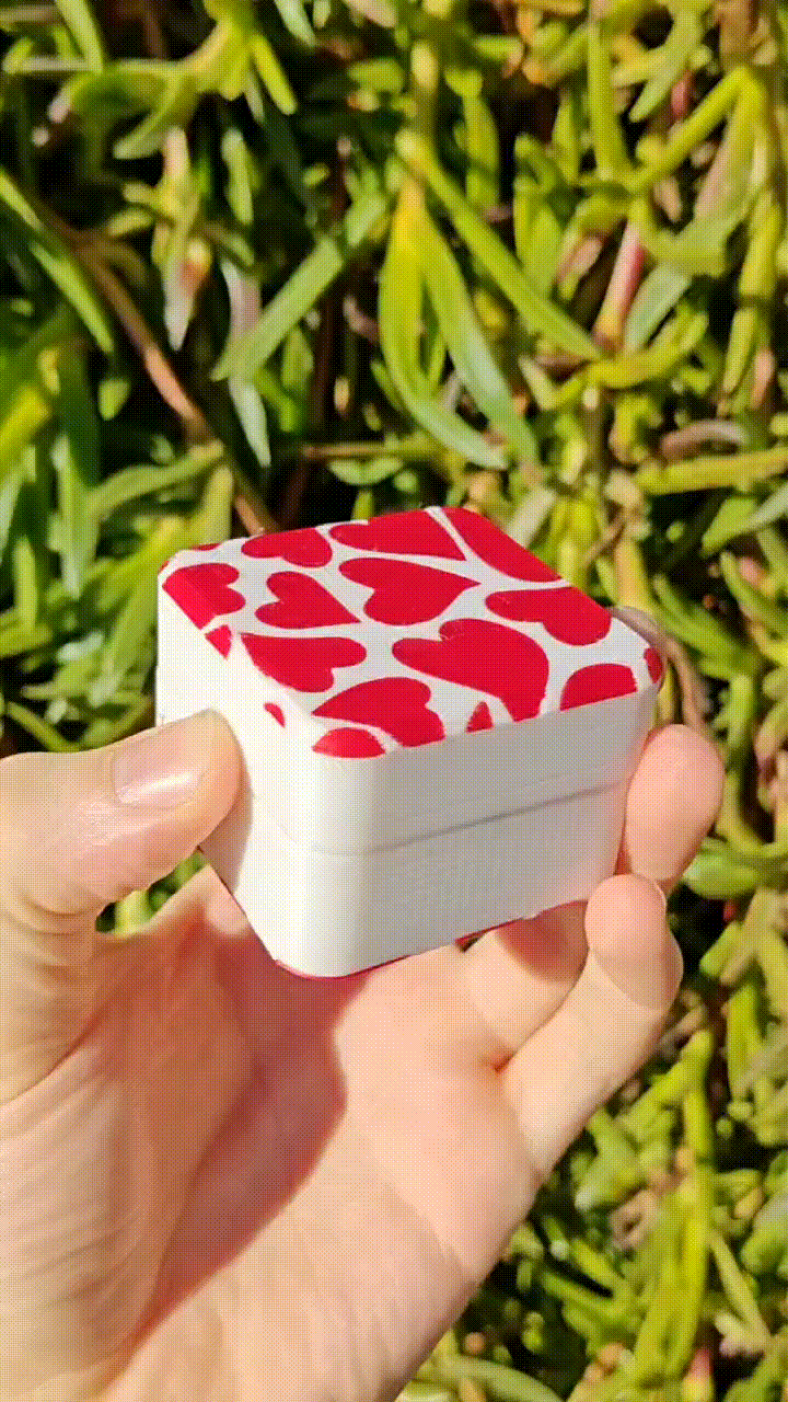 Hộp quà bản lề in liền khối (Print in place gift box) - Image 1