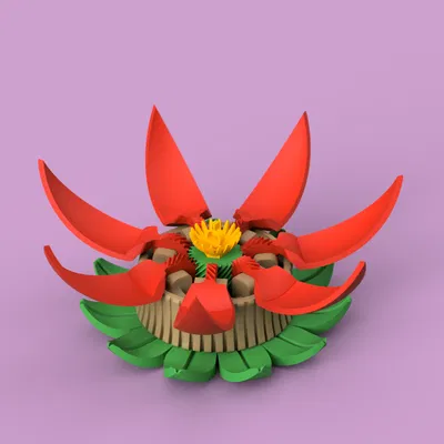 Flower Box – Hộp hoa xoay mở (twist-open) tùy biến