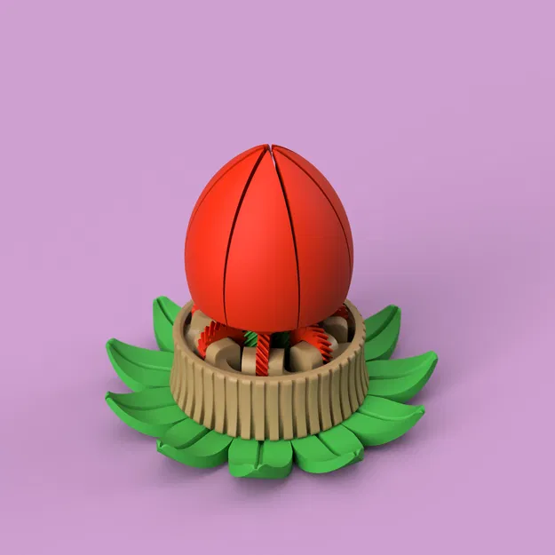 Flower Box – Hộp hoa xoay mở (twist-open) tùy biến - Image 2