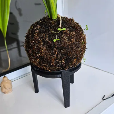 Đế đặt bình (Vase stand)